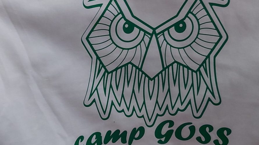 Ecco le foto del camp 2021 concluso venerdì sera con la consegna della maglia ricordo. Una settimana di divertimento e sudore e un arrivederci al camp 2022.